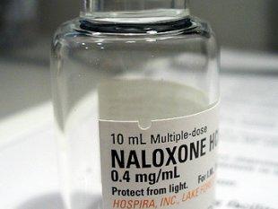 heroin essay heroin essay